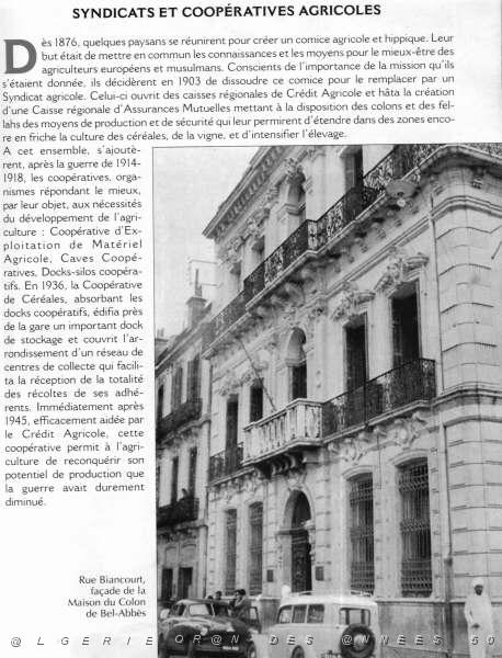 SBA SYNDICAT AGRICOLE 01.JPG